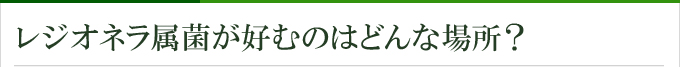 レジオネラ属菌が好むのはどんな場所？