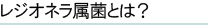 レジオネラ属菌とは？