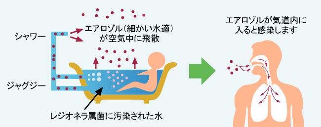 レジオネラ属菌の感染経路